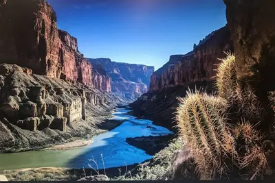 Image de Secluded, Luxury Dome w\/ views of the Milky Way