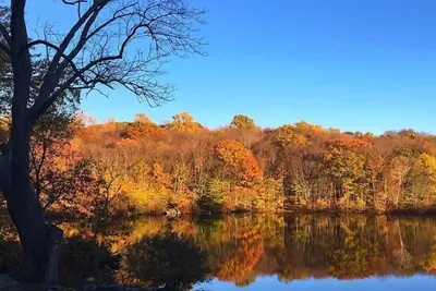 Image de Fun, Friends, and Family Lakefront Home w/Dock and Beach