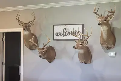 Image de Country home getaway; great for nature lovers!
