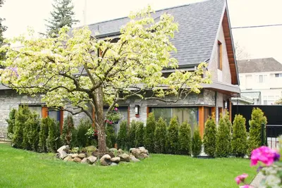 Image de Modern 3bdr Nordic Laneway House  Avail. June 1 2024