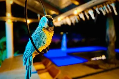 Island Breeze - Hawaiian experience in the desert!