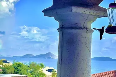 Image de Perfect Location! ! ! Grande Bay Luxury 3br/2bth