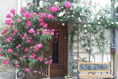 Image de Entre Mer et Montagne: Lacs, Soleil & Vue Canigou