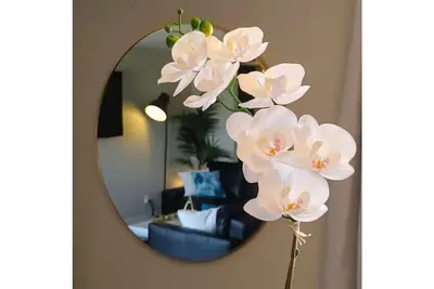 Image de ❤️ of Edmonton ❤️ Brewery Dist 🍻 Pet Friendly🐶❤️