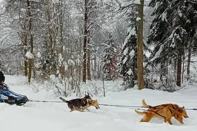 Image de Ferienwohnung mit Terrasse