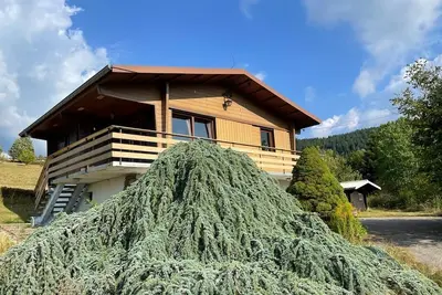 Image de Chalet Gérardmer, vue lac, au calme, proche pistes de ski