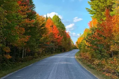 Image de Charming 2-bedroom cottage by the water