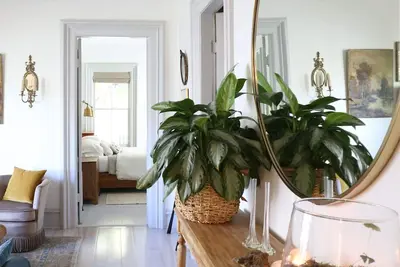 Image de Remodeled1800s Victorian in heart of Ithaca- Close to parks and downtown