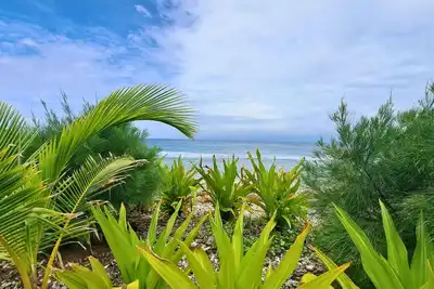 Image de Moorea - Fare Coraline Left