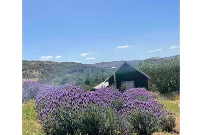 Image de Moonrise Cottage at Buena Terra Lavender Farm