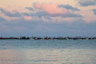 Image de 442-Appartement Lumineux avec Vue Imprenable sur la Plage de Caroual