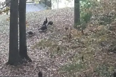 Image de Sprawling Terrace for 4 + full kitchen