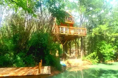 Image de Waterfront Treehouse In A Magical Forest!