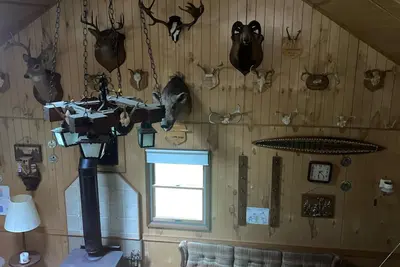 Image de Mountainous Offgrid Cabin 40acres - Renovo