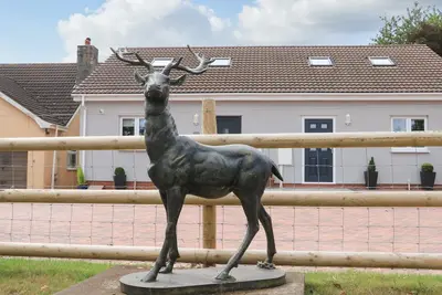 Image de Sawtons Cottage 2, pet friendly in Dawlish