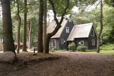 Image de Vakantiehuis in de Bossen van Norg