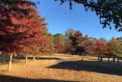 Image de Greenacres - Relaxing Escape in the Macedon Ranges