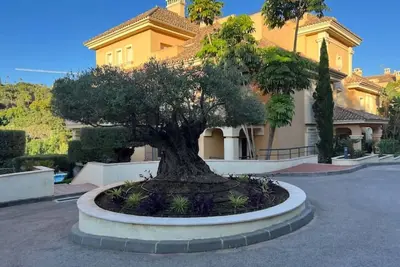 Beautiful Property and Exceptional Location