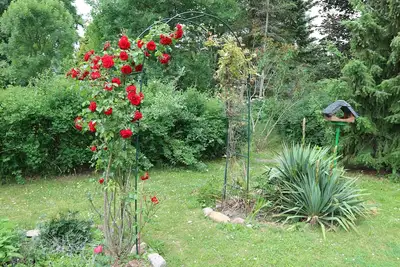 Image de Gästehaus Am Alten Birnbaum - Gästehaus Zum Alten Birnbaum