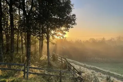 Image de Cosy Cottage in Forest hideaway - stunning views