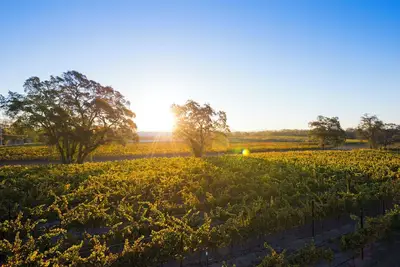 Image de Private Vineyard Residence - 10 minutes from Healdsburg\n