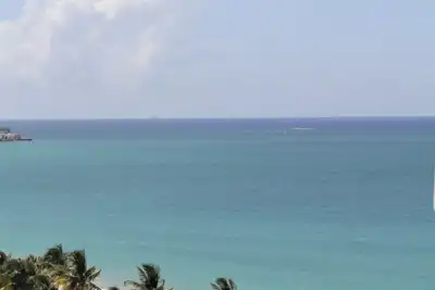 Image de Beach Studio Isla Verde-Sea Dollar #3