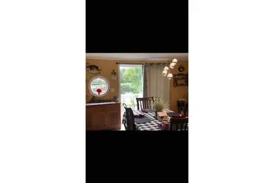 Image de The Kingfisher