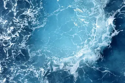 Image de blah blah fake