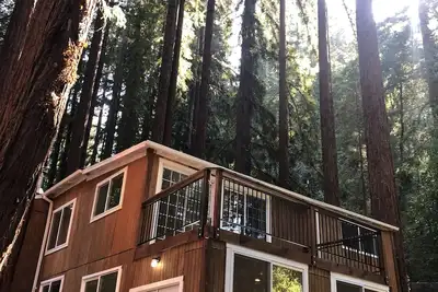 Image de Mountain cabin w/king suite in the Redwoods of the Santa Cruz Mountains