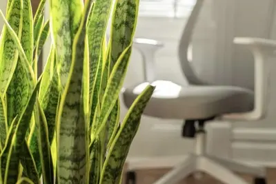 Image de Bushwick • King Bed • Remote Office • 4 Beds • 20 Mins to Manhattan 24\n