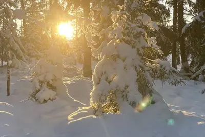 Image de Apartment by Golf South Stockholm in Kallfors, Järna