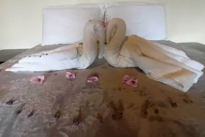 Image de Luxury rainforest villa with private waterfalls - off grid experience