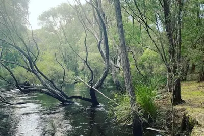 Image de Two-Bedroom Chalet with Private Jetty - Heron Pemberton