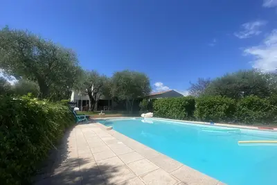 Image de Sous l’olivier