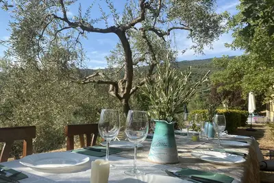 Image de Yellow House, Sunsets in the olive grove