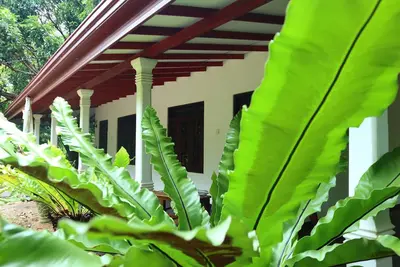 Image de Dream Weaver Eco Homestay Sigiriya