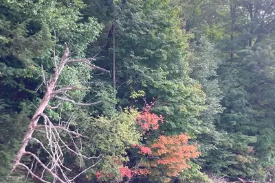 Image de Beautiful cabin on the Manistee River