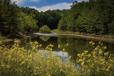 Image de Private, Cozy Cabin only 7 min from Downtown Mentone