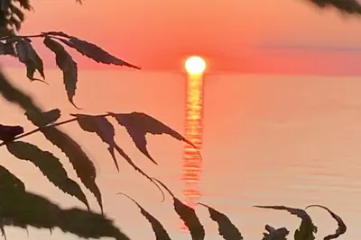 Image de Lakeside Cottage w/ Private Beach and Sunset Views-Niagara
