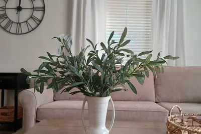 Image de Close to beaches, Img, downtown Bradenton & Riverwalk. Dog friendly.