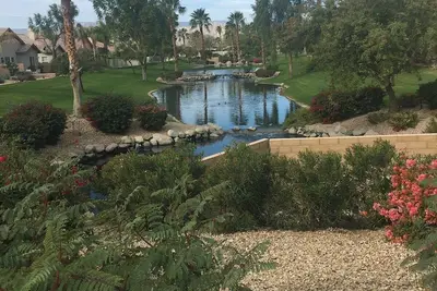 Image de Walk To Coachella Concerts