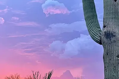 Image de Quiet Eco-Friendly Home Close to Downtown & Desert—Wildlife in Abundance!