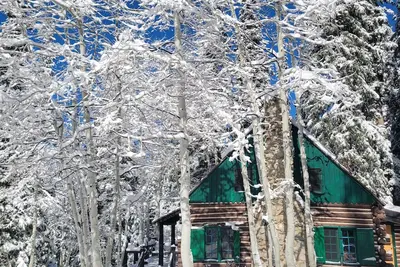 Image de Brighton Log Cabin. Close to lifts! Free parking. \n