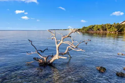 Image de Minutes Away From The Beach! 4 Sleek Suites, Swimming Pool, Full Kitchen!