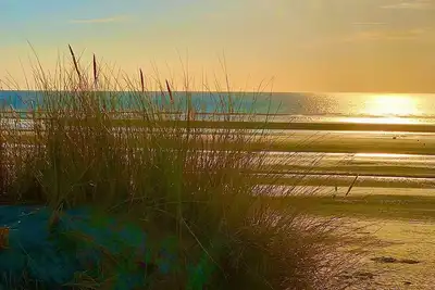 Image de Ecole Buissonniere