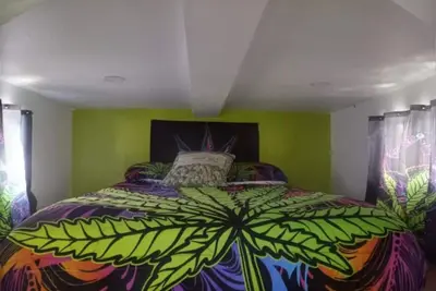 Image de Reefer Madness House *420, Glow in the Dark, Fun!