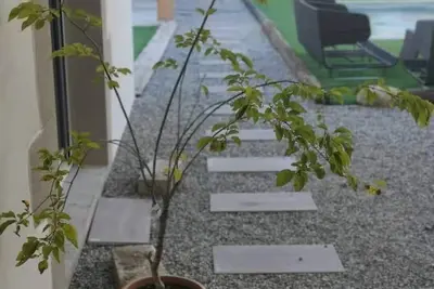Image de Maison avec sauna/jacuzzi/piscine au pied dans l'Hermitage
