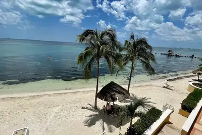 Image de Tropical Apartment