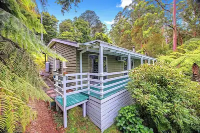 Image de Calming bush surrounds, relaxing creek sounds!