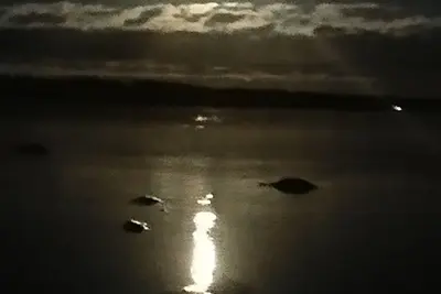 Image de Cottages for 6 + 4 persons with beach